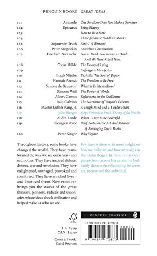 Steps Towards a Small Theory of the Visi (Penguin Great Ideas) - Retail Maharaj