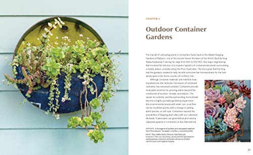 Striking Succulent Gardens: Plants and Plans for Designing Your Low-Maintenance Landscape [A Gardening Book]