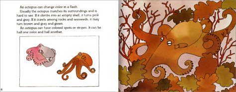 Octopus Is Amazing (Let's-Read-and-Find-Out Science 2)