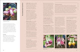 The Seed Hunter: Discover the World's Most Unusual Heirloom Plants