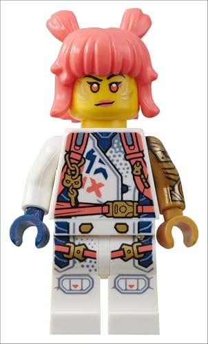 LEGO Ninjago Dragons Rising Character Guide: With LEGO Sora Minifigure