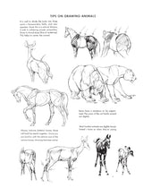 The Art of Animal Drawing: Construction, Action Analysis, Caricature