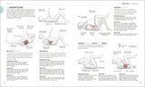 Science of HIIT: Understand the Anatomy and Physiology to Transform Your Body