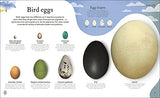 Nature's Treasures: Tales Of More Than 100 Extraordinary Objects From Nature