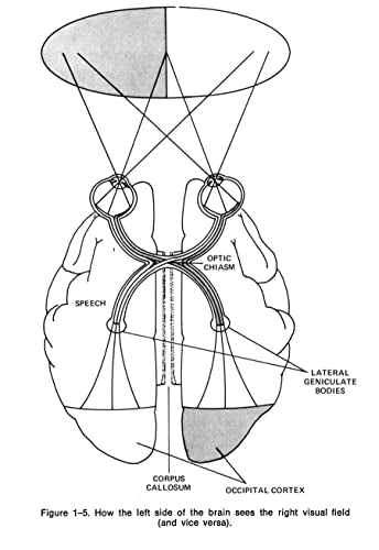 Introduction to Artificial Intelligence: Third Edition (Dover Books on Computer Science)