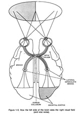 Introduction to Artificial Intelligence: Third Edition (Dover Books on Computer Science)
