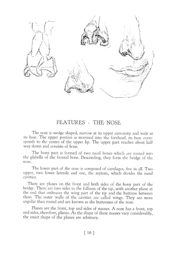 Heads, Features and Faces