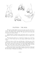 Heads, Features and Faces