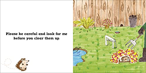 Roly the Hedgehog (Roly and Friends)