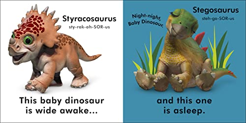 Baby Touch and Feel Baby Dinosaur - Retail Maharaj