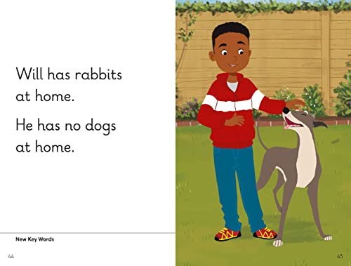 Key Words with Peter and Jane Level 3a – We Like Rabbits