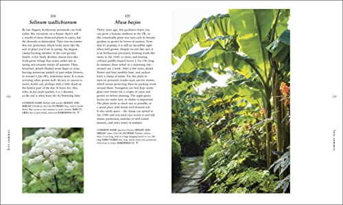 RHS A Plant for Every Day of the Year
