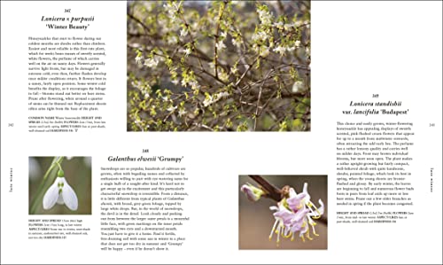 RHS A Plant for Every Day of the Year