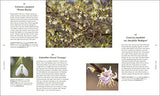RHS A Plant for Every Day of the Year