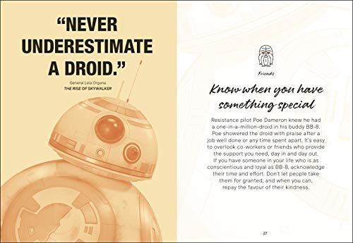 Star Wars I Love You. I Know.