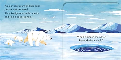 Pop-up Peekaboo! Winter: Pop-Up Surprise Under Every Flap!