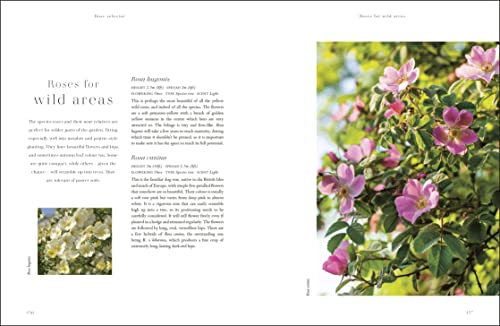RHS Roses: An Inspirational Guide to Choosing and Growing the Best Roses