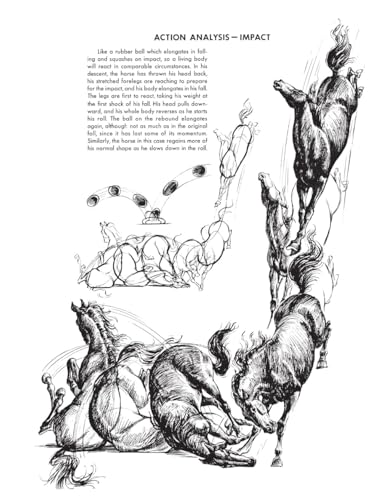 The Art of Animal Drawing: Construction, Action Analysis, Caricature