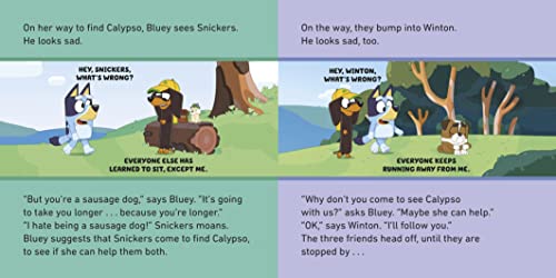 Bluey: Typewriter