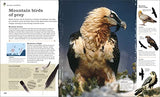 Chris Packham's Nature Handbook: Explore the Wonders of the Natural World