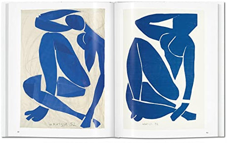 Matisse Cut-outs - Retail Maharaj
