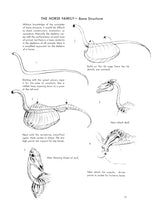 The Art of Animal Drawing: Construction, Action Analysis, Caricature