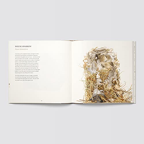 Nests - Retail Maharaj