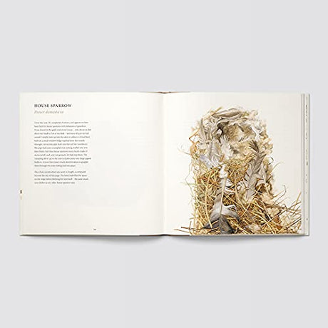 Nests - Retail Maharaj