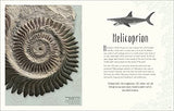 Dinosaurs and Other Prehistoric Life (DK Children's Anthologies) - Retail Maharaj