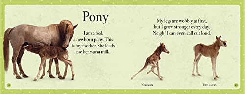 See How They Grow Pets