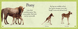 See How They Grow Pets