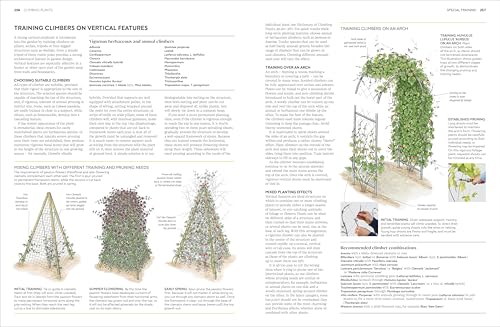 RHS Pruning and Training: What, When, and How to Prune Over 800 Plants