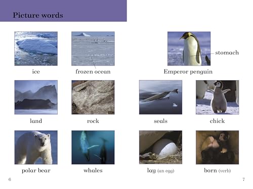 BBC Earth: Ice Worlds- Ladybird Readers Level 3