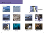 BBC Earth: Ice Worlds- Ladybird Readers Level 3