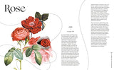 Flowers and Their Meanings: The Secret Language and History of Over 600 Blooms (A Flower Dictionary) - Retail Maharaj