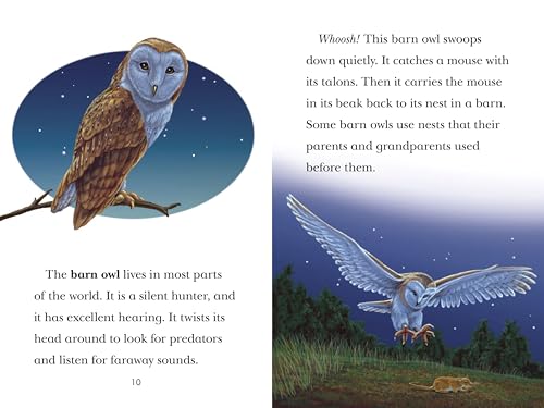 Black Out!: Animals That Live in the Dark: Animals That Live in the Dark (Penguin Young Readers, Level 3)