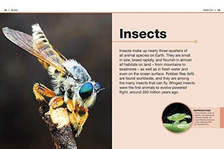 Pocket Eyewitness Insects - Retail Maharaj