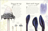 An Anthology of Fungi: A Collection of 100 Mushrooms, Toadstools and Other Fungi