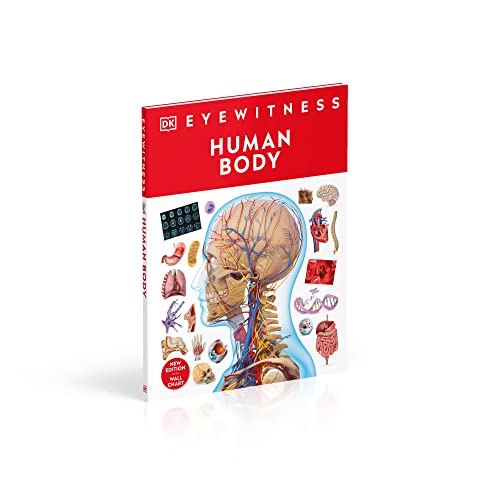 Human Body - Retail Maharaj