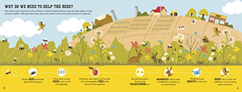 The Bee Book (Conservation for Kids)