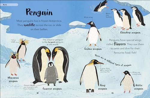 Bedtime Books: A Lovable Introduction to Animals and Dinosaurs