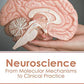 Neuroscience: From Molecular Mechanisms to Clinical Practice