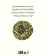 Nests - Retail Maharaj