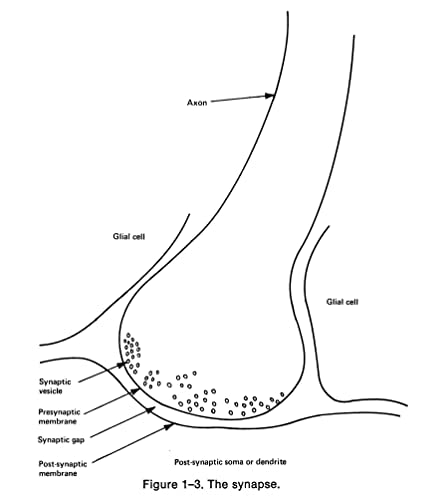Introduction to Artificial Intelligence: Third Edition (Dover Books on Computer Science)