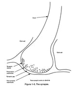 Introduction to Artificial Intelligence: Third Edition (Dover Books on Computer Science)