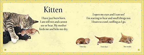 See How They Grow Pets