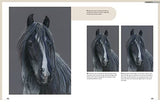 Drawing Animal Portraits in Coloured Pencil - Retail Maharaj