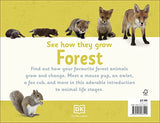 See How They Grow Forest