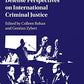 Defense Perspectives on International Criminal Justice