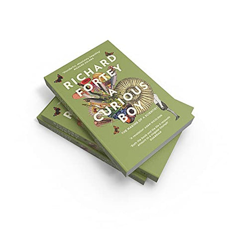 A Curious Boy - Retail Maharaj